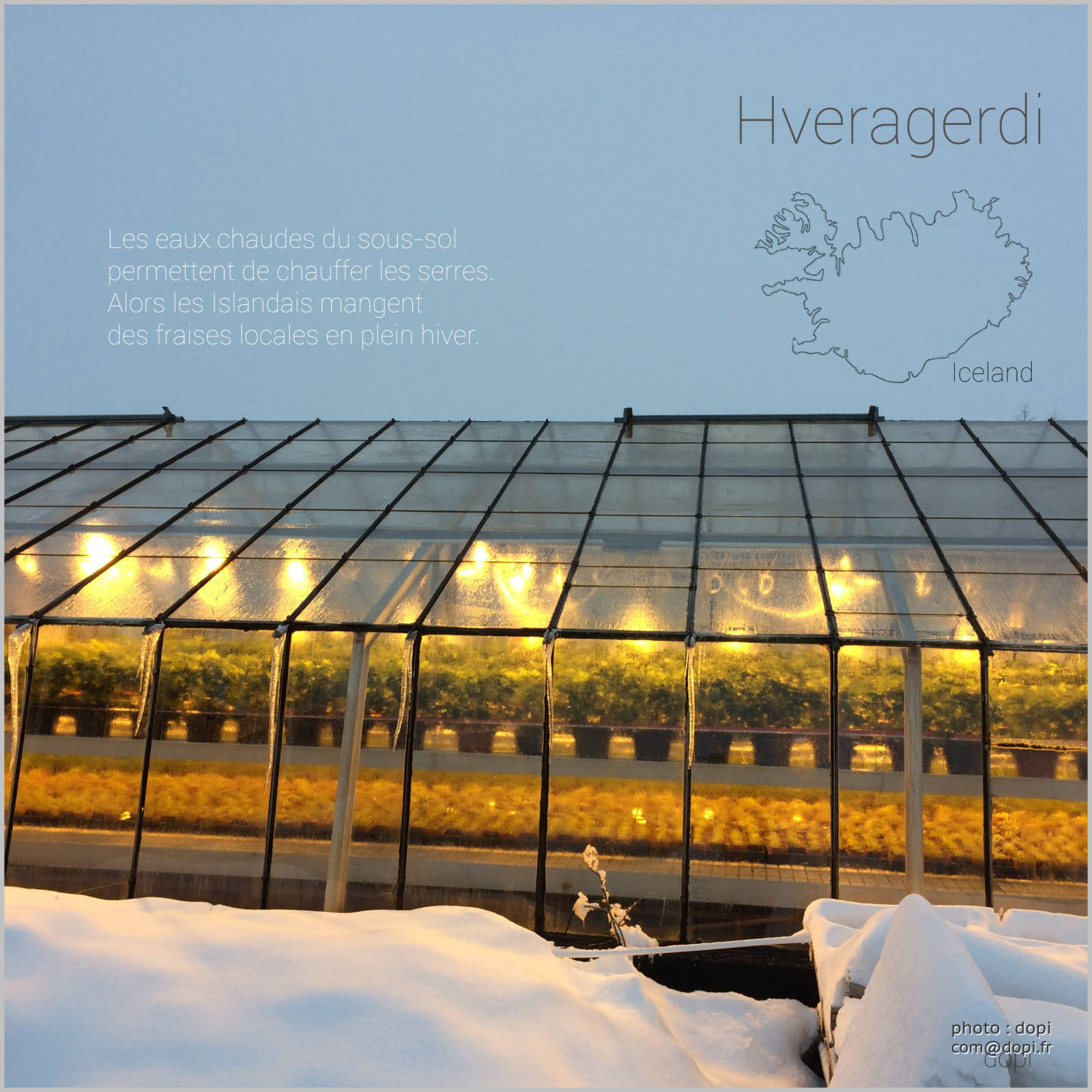 00015 serresIMG 8452,medium large.2x.1483818664